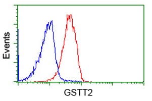 GSTT2 Antibody (clone OTI9A1)