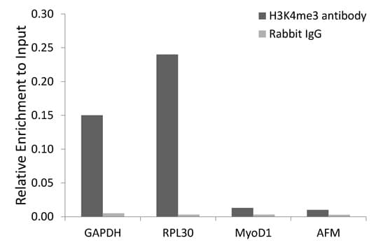 Histone H3 Antibody (Tri-Methyl-Lys4)