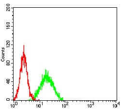 KDM4B / JMJD2B Antibody (clone 3A6H6)