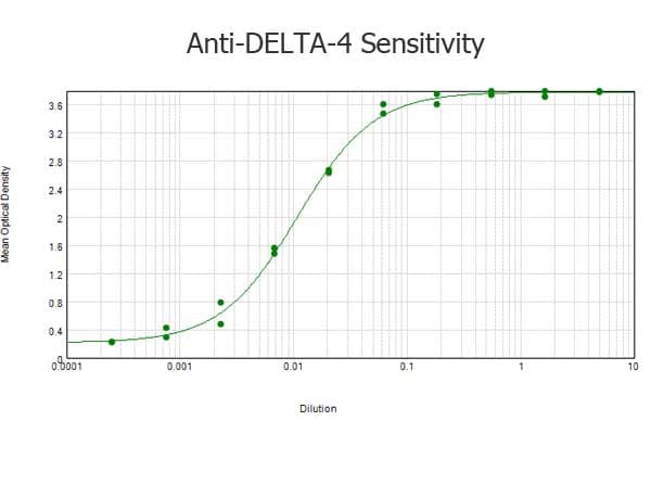 DLL4 Antibody (Internal)