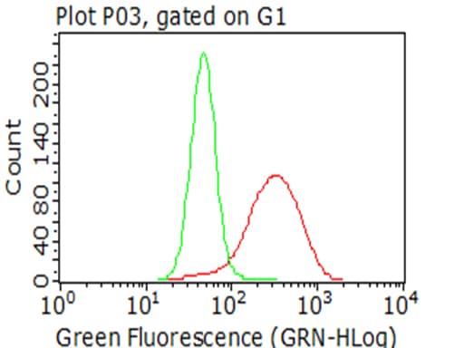 CTAG1B / NY-ESO-1 Antibody (clone UMAB73)