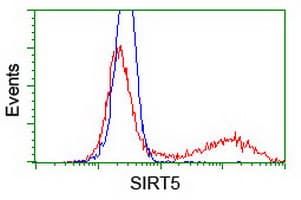 SIRT5 / Sirtuin 5 Antibody (clone OTI 1G5)