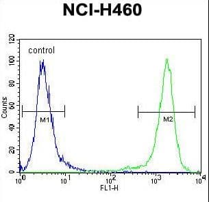 VSTM4 Antibody (aa142-170)