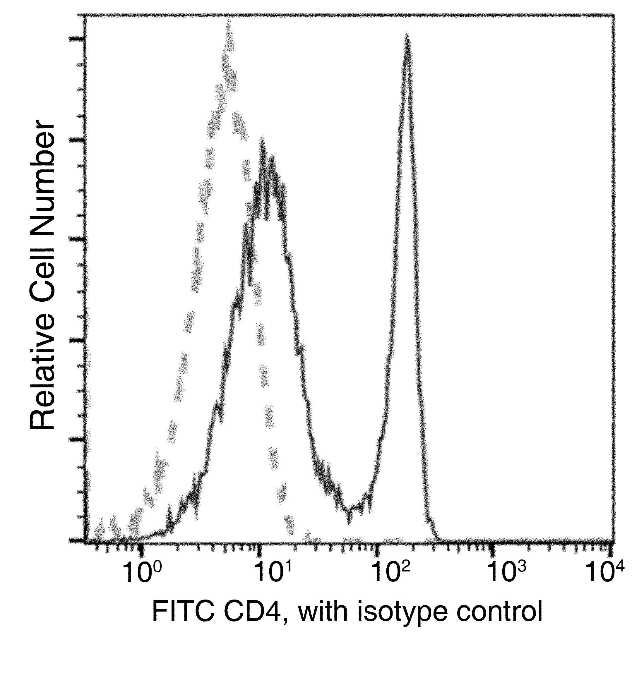 CD4 Antibody (clone 53, FITC)