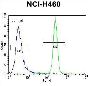 IL6 / Interleukin 6 Antibody (aa27-55)