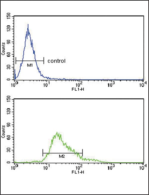 IHC-plus™ Polyclonal Rabbit anti-Human GPX1 / Glutathione Peroxidase Antibody (aa164-193, IHC, IF, WB)