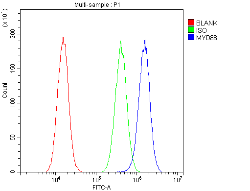 Polyclonal Rabbit anti-Human MYD88 Antibody (aa44-264, IHC, WB)
