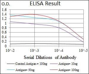 NKX2-2 Antibody (clone 3E4)