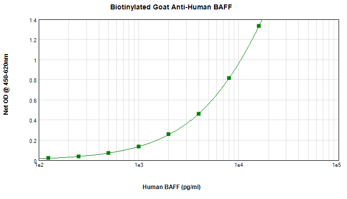 Polyclonal Goat anti-Human BAFF / TNFSF13B Antibody (Biotin, WB)