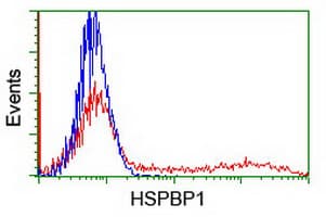 HSPBP1 Antibody (clone OTI1H4, Carrier-free)