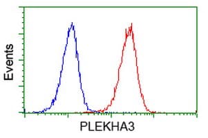 PLEKHA3 Antibody (clone OTI6E4)