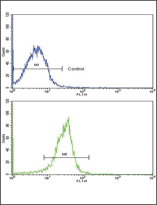 Polyclonal Rabbit anti-Human Osteonectin / SPARC Antibody (aa224-251, IHC, WB)