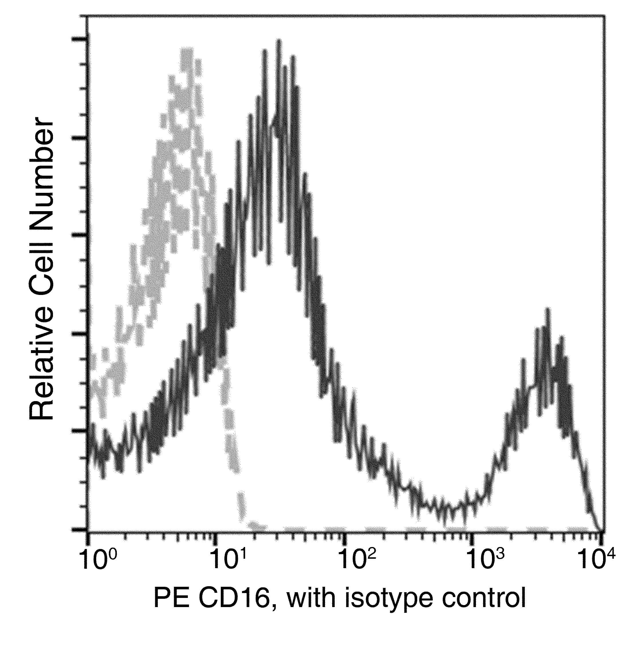 FCGR3A / CD16A Antibody (clone 41, PE)
