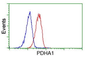 PDHA1 / PDH E1 Alpha Antibody (clone OTI2C10)
