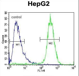 IHC-plus™ DAP12 Antibody (aa85-113)