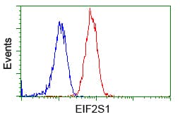 Monoclonal Mouse anti-Human EIF2S1 Antibody (clone OTI3H7, WB)