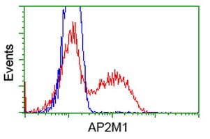 AP50 / AP2M1 Antibody (clone OTI2G2)
