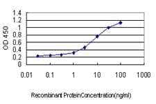 KLF11 Antibody (clone 8F4)