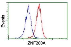 ZNF280A Antibody (aa1-333, clone OTI2H3, Carrier-free)