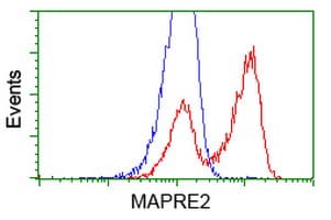 MAPRE2 / EB2 Antibody (clone OTI3C7)