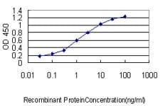 IHC-plus™ Monoclonal Mouse anti-Human RPL39L Antibody (clone 4A8-1B6, IHC, WB)