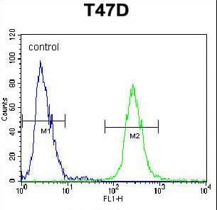 FGG / Fibrinogen Gamma Antibody (aa417-445)