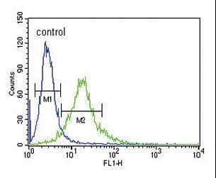 XRCC6 / Ku70 Antibody (aa432-461)