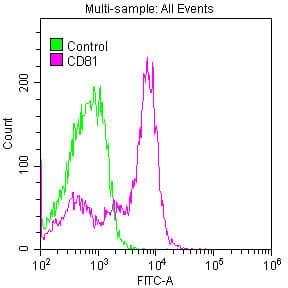 Recombinant Monoclonal Rabbit anti-Human CD81 Antibody (IHC, WB)