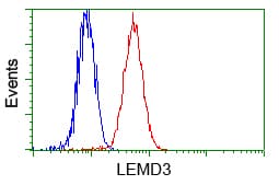 LEMD3 / MAN1 Antibody (clone OTI4E1, Carrier-free)