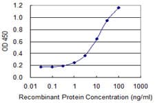 Monoclonal Mouse anti-Human DPYSL5 / CRMP5 Antibody (clone 2D10, WB)