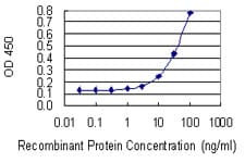 Monoclonal Mouse anti-Human RERE Antibody (clone 2F2, WB)