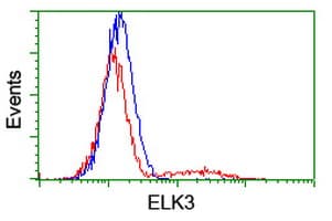 ELK3 / NET Antibody (clone OTI2F12)