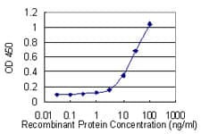 REEP5 Antibody (clone 3G11)