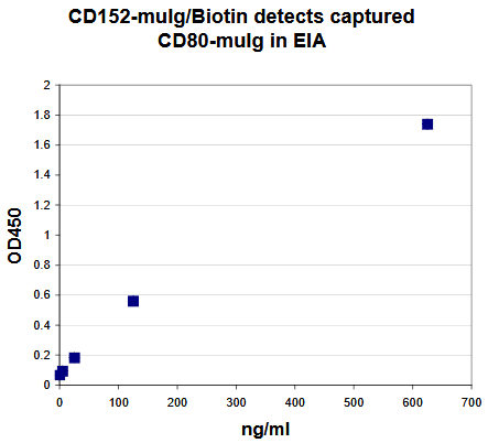 Human CD80 Protein (Recombinant)
