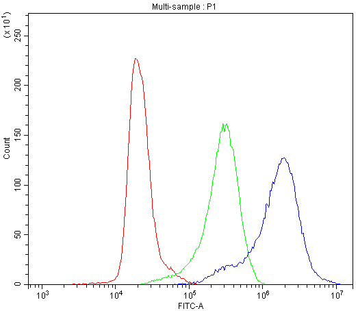 CCT4 / SRB Antibody