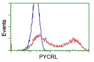 PYCRL Antibody (clone OTI3B9)