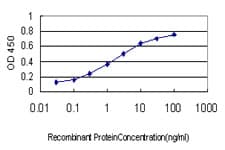 CD99 Antibody (clone 3A10)