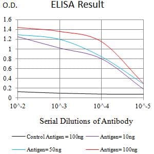 CLEC7A / Dectin 1 Antibody (clone 4G2G6)