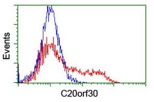 Monoclonal Mouse anti-Human TMEM230 Antibody (clone OTI3B2, WB)