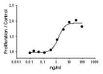 Mouse IL7 Protein (Recombinant)