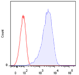 CLEC4D / MCL Antibody