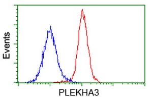 PLEKHA3 Antibody (clone OTI2D1, Carrier-free)