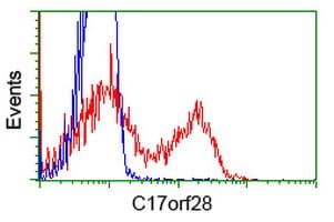 HID1 / C17orf28 Antibody (clone OTI2G6)