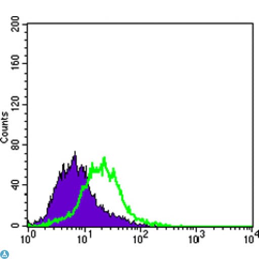 KRT15 / CK15 / Cytokeratin 15 Antibody