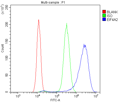 EIF4A2 Antibody (aa5-31)