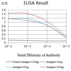 HTRA2 / OMI Antibody (clone 6H7A8)