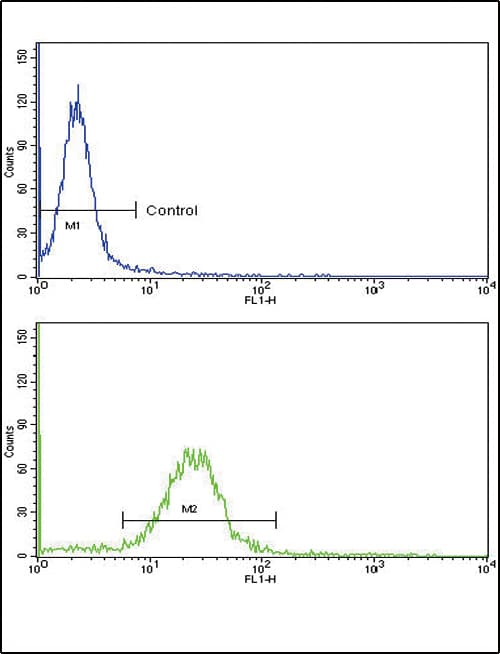 EPN3 Antibody (aa126-153)