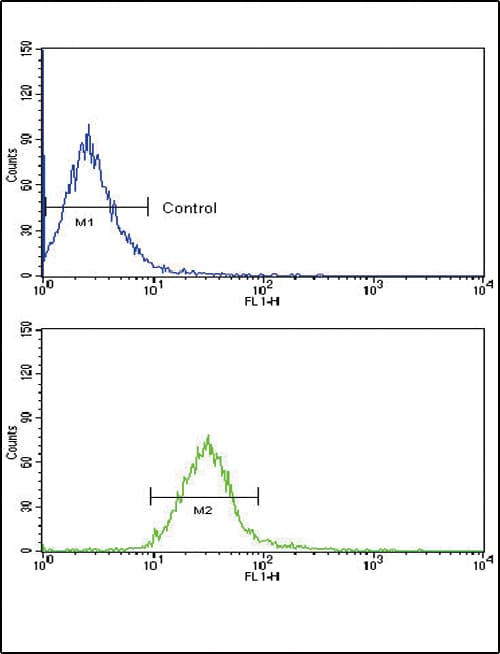 Polyclonal Rabbit anti-Human CCK4 / PTK7 Antibody (aa21-52, IHC, WB)