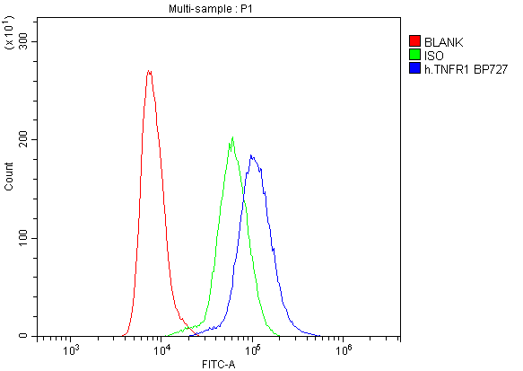 TNFRSF1A / TNFR1 Antibody