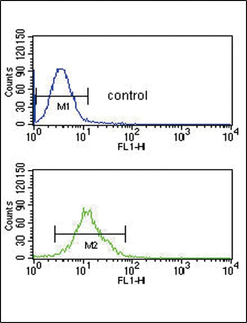 SMYD3 Antibody (aa7-35)
